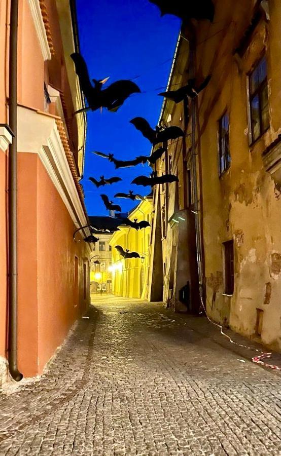 Apartamenty Krakowskie 2 ルブリン エクステリア 写真